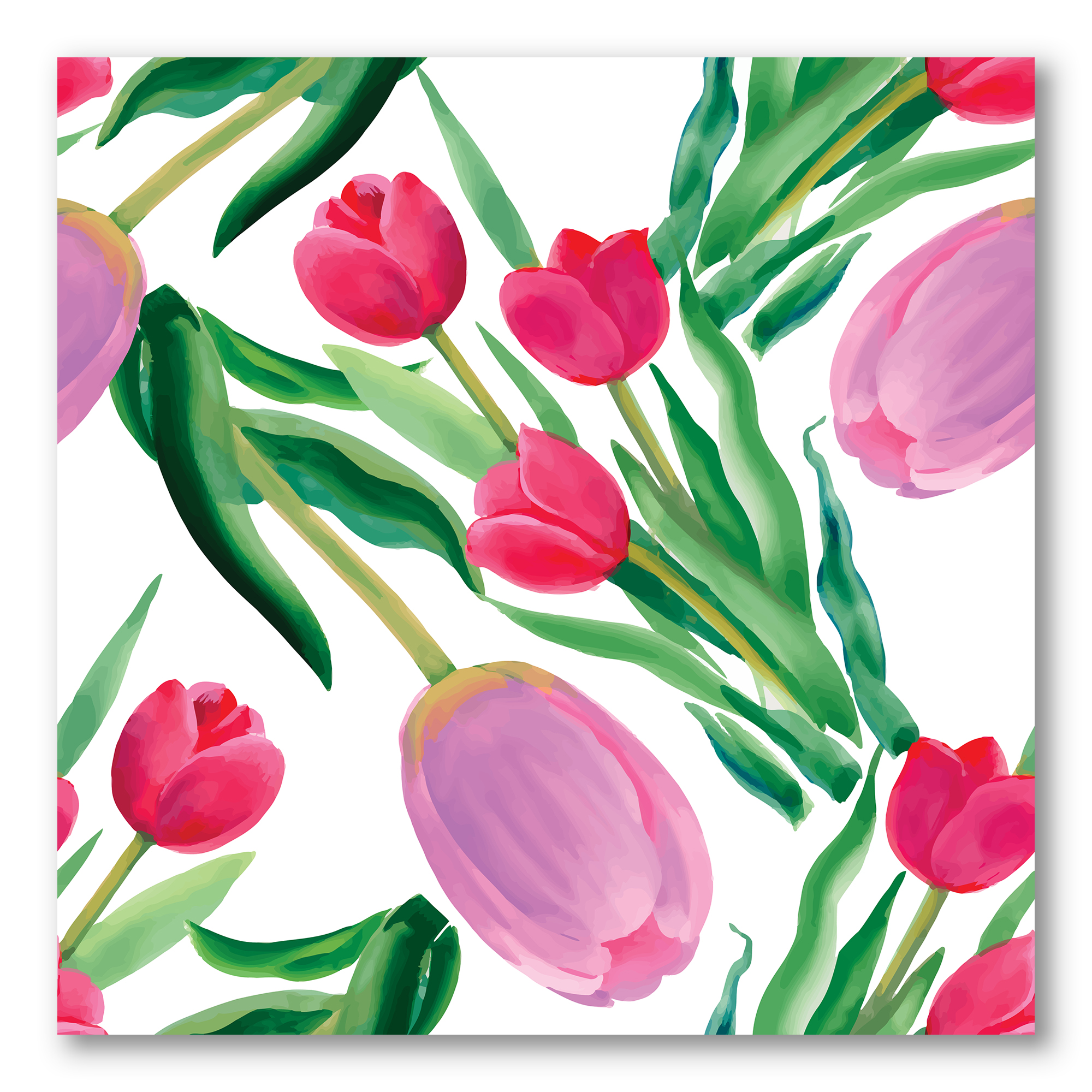Designart ' Blooming Beautiful Pink Tulips Flowers On White ' Traditional Canvas Wall Art Print