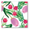thumbnail image 1 of Designart ' Blooming Beautiful Pink Tulips Flowers On White ' Traditional Canvas Wall Art Print, 1 of 4