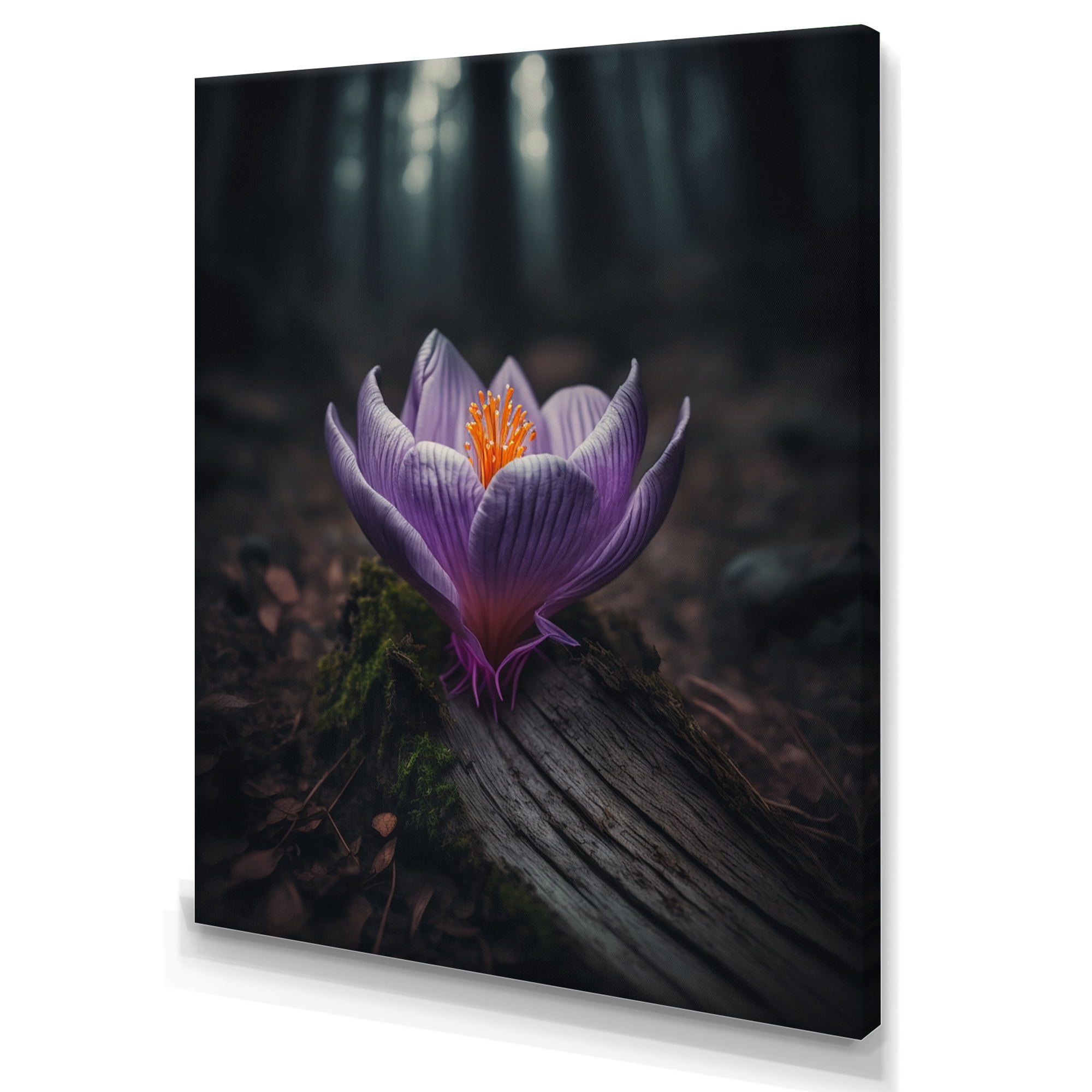 Designart Blooming Crocus Flowers In A Forest I Canvas Wall Art
