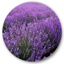 Designart 'Blooming Purple Lavender Meadow' Farmhouse Circle Metal Wall Art 36x36 - Disc of 36
