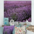 thumbnail image 1 of Designart 'Blooming Purple Lavender Meadow' Farmhouse Print on Natural Pine Wood, 1 of 5