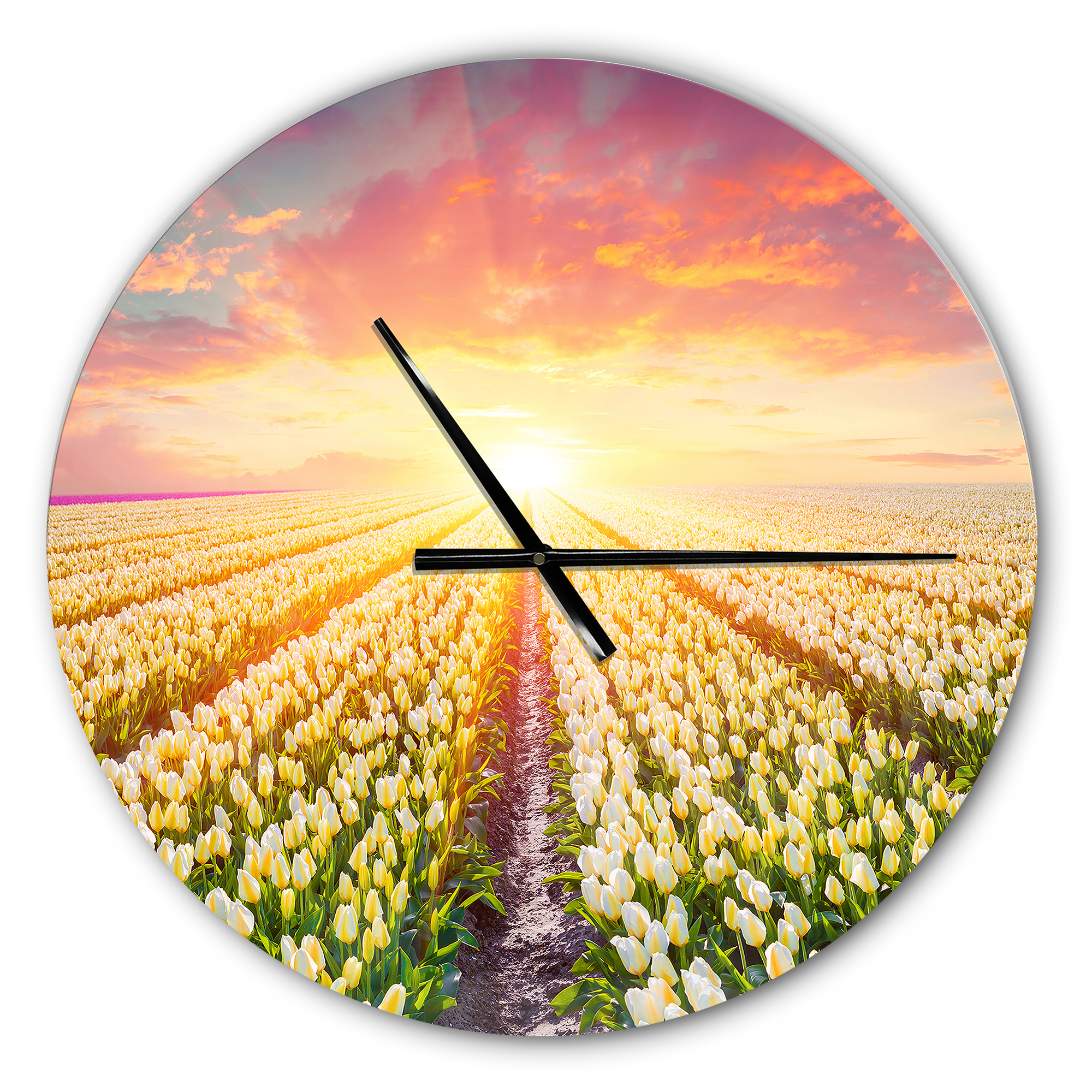 Designart 'Blooming White Tulips ' Farmhouse Wall Clock