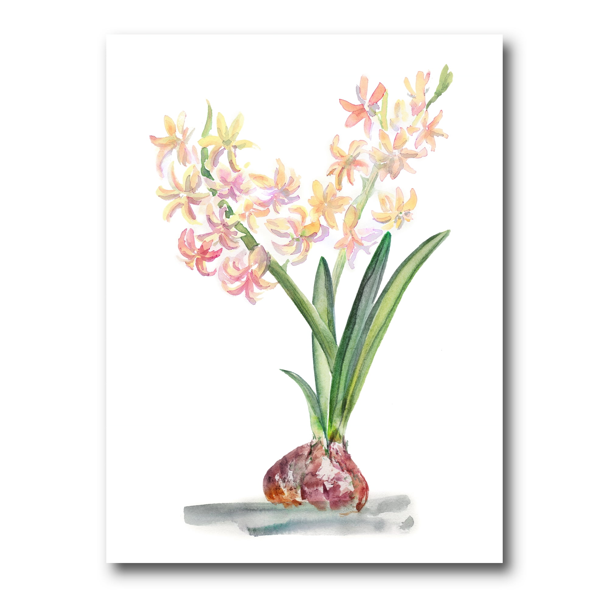 Designart ' Blossoming Hyacinth ' Traditional Canvas Wall Art Print