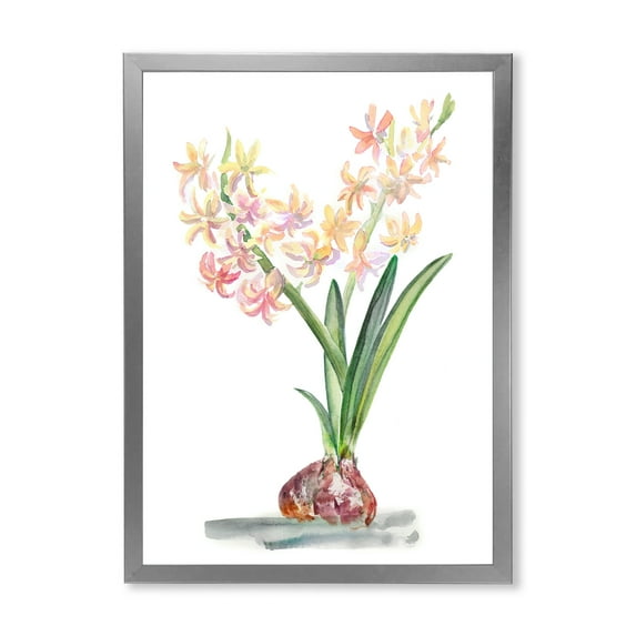Designart 'Blossoming Hyacinth' Traditional Framed Art Print