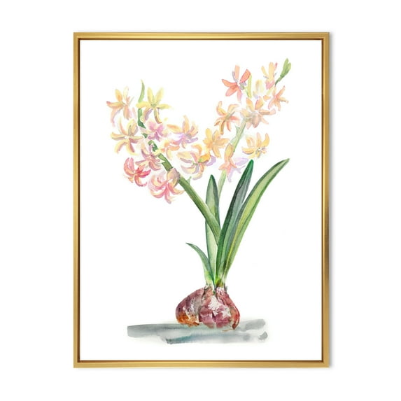 Designart 'Blossoming Hyacinth' Traditional Framed Canvas Wall Art Print