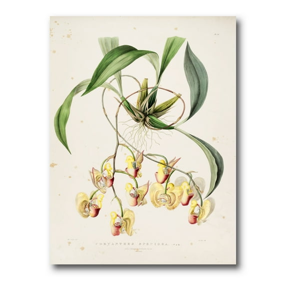 Designart ' Blossoming Vintage Flower I ' Traditional Canvas Wall Art Print