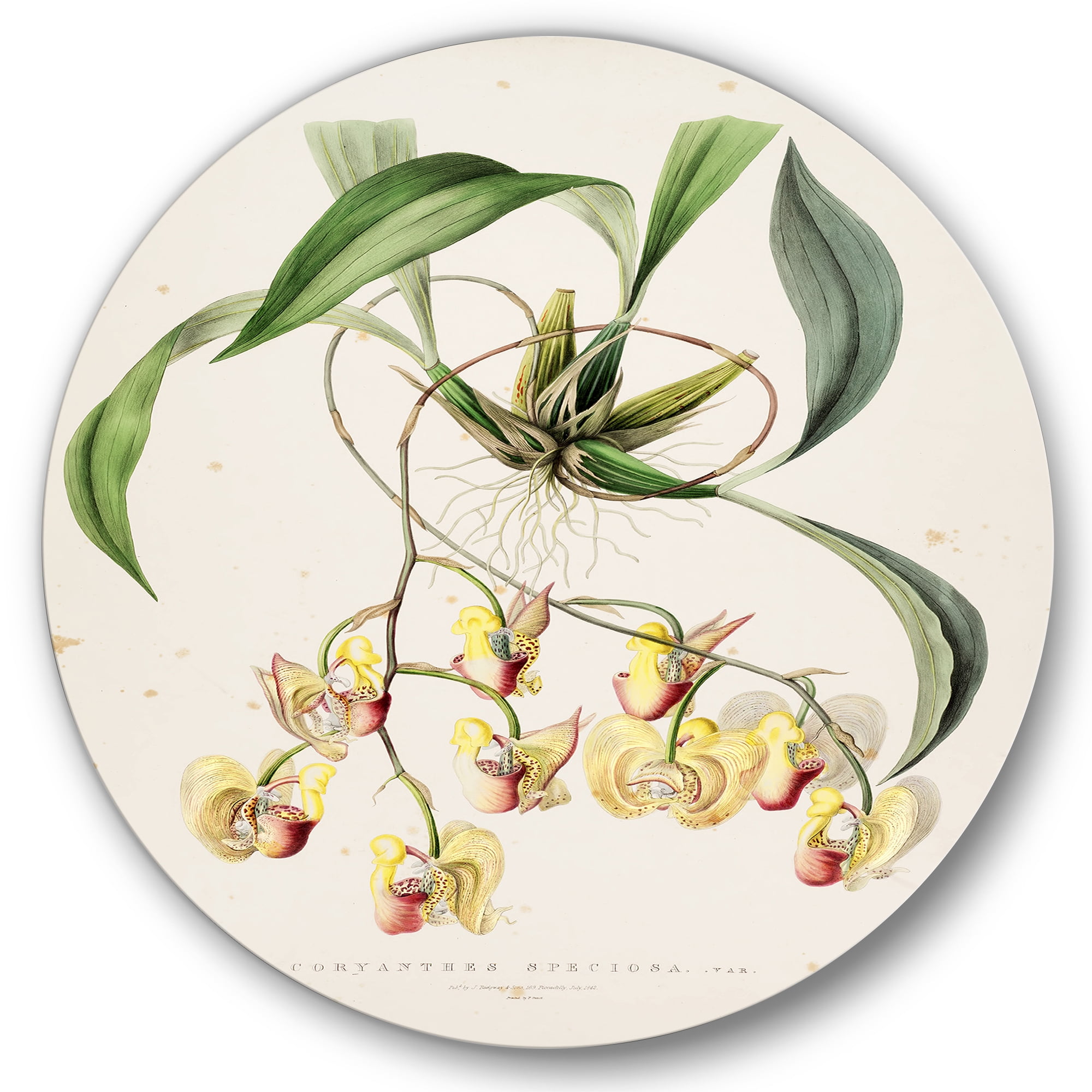 Designart 'Blossoming Vintage Flower I' Traditional Circle Metal Wall Art 23x23 - Disc of 23