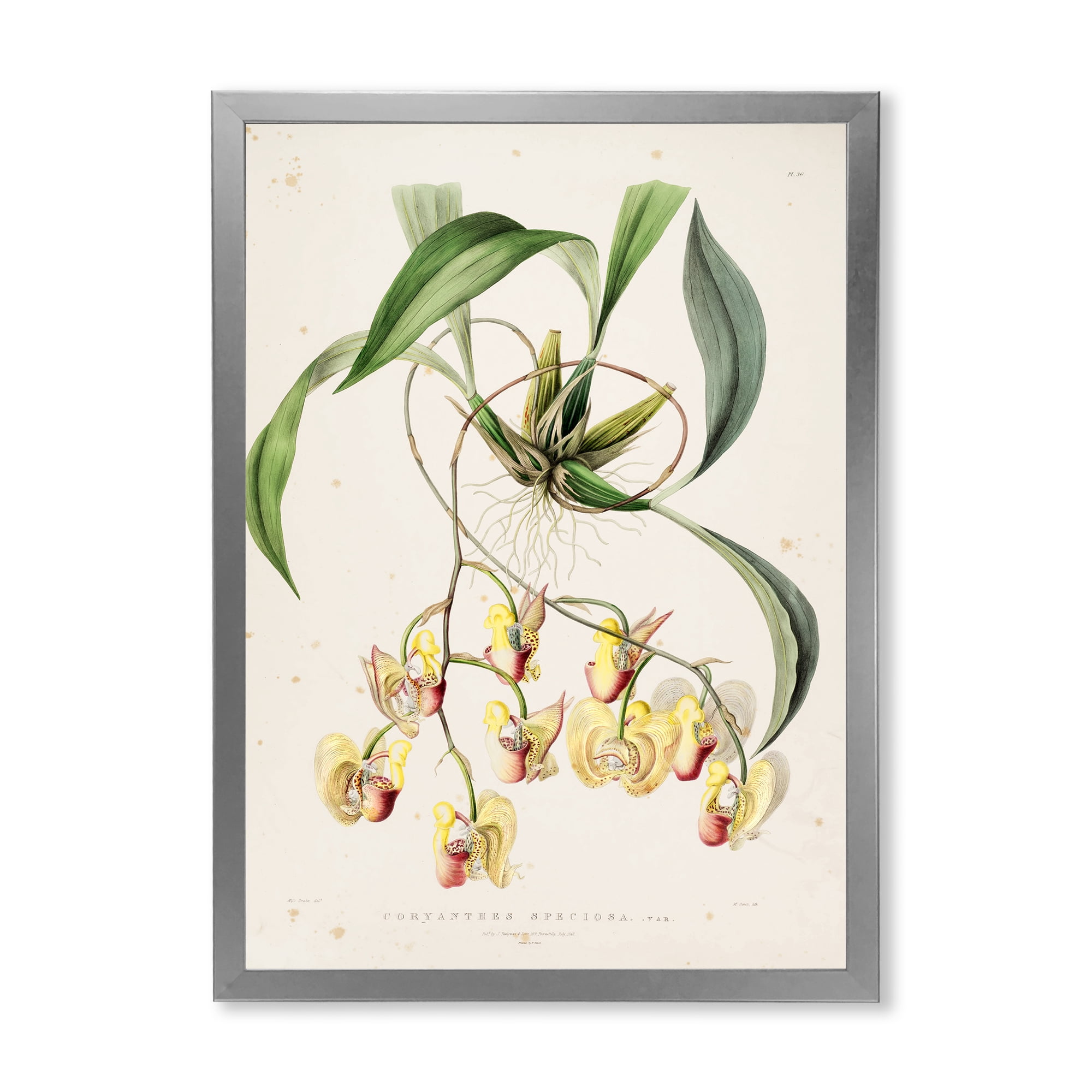 Designart 'Blossoming Vintage Flower I' Traditional Framed Art