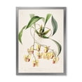 thumbnail image 1 of Designart 'Blossoming Vintage Flower I' Traditional Framed Art Print, 1 of 4