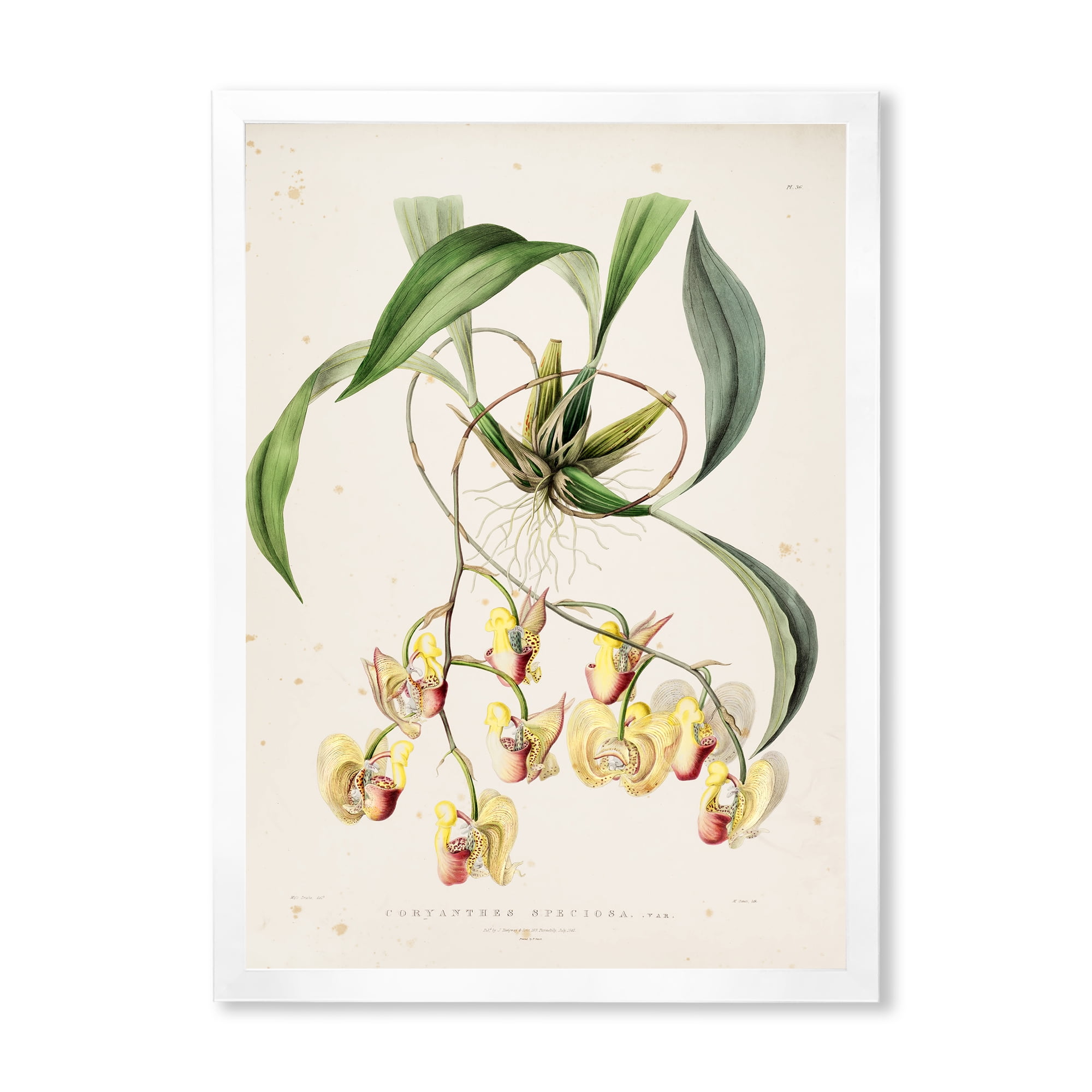 Designart 'Blossoming Vintage Flower I' Traditional Framed Art Print