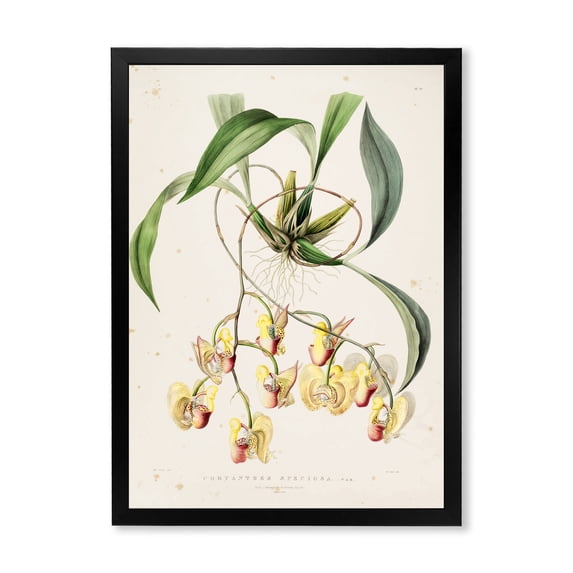 designart-blossoming-vintage-flower-i-traditional-framed-art-print