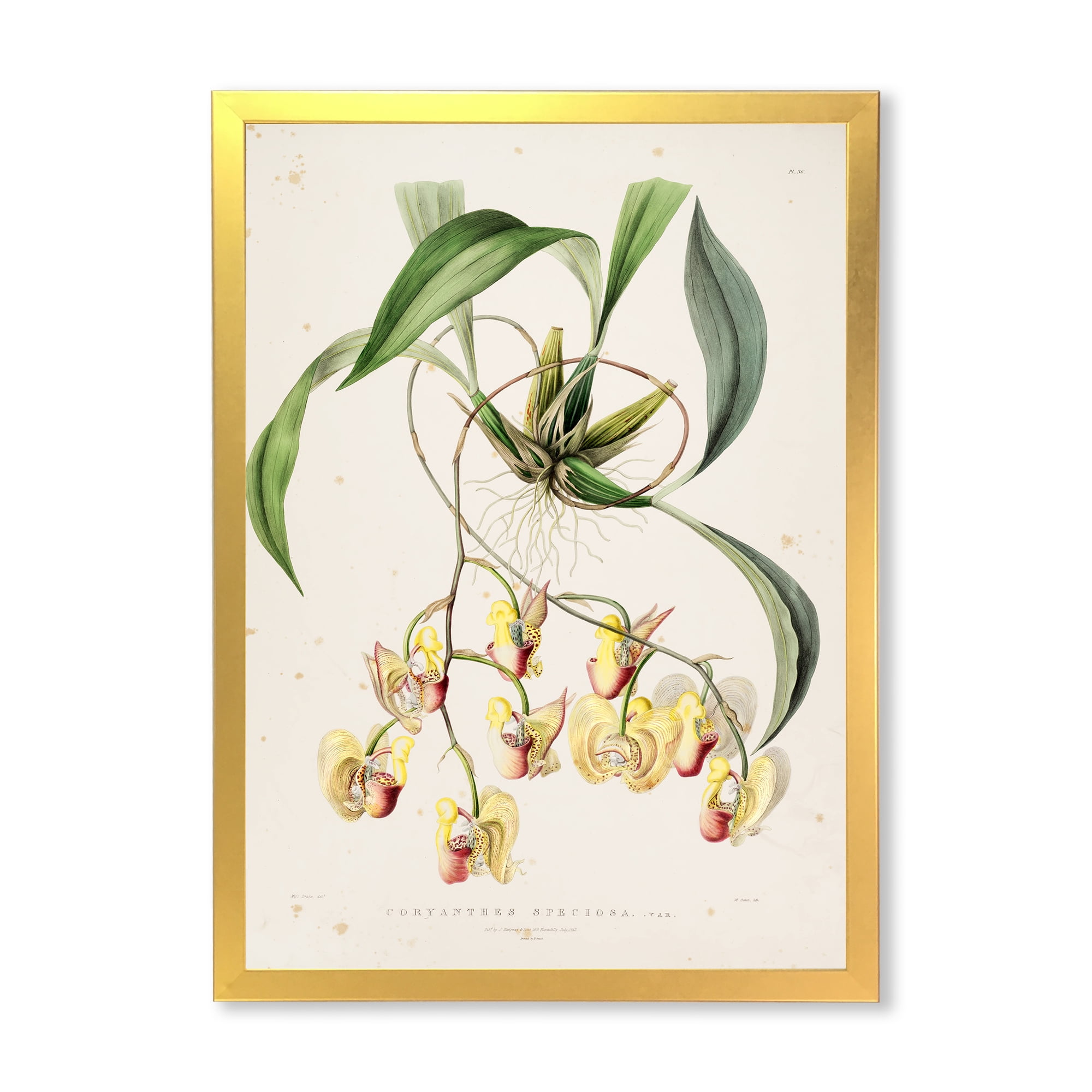 Designart 'Blossoming Vintage Flower I' Traditional Framed Art Print