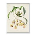 thumbnail image 1 of Designart 'Blossoming Vintage Flower I' Traditional Framed Canvas Wall Art Print, 1 of 5