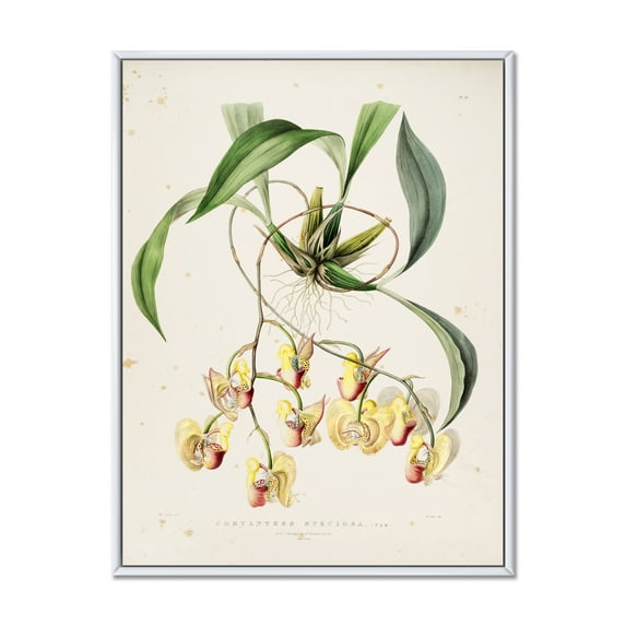 Designart 'Blossoming Vintage Flower I' Traditional Framed Canvas Wall Art Print