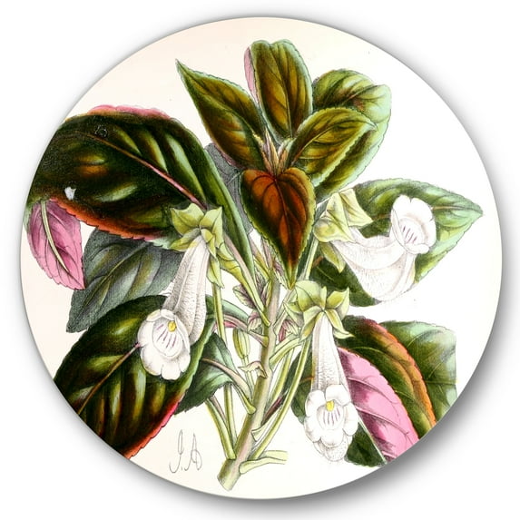 Designart 'Blossoming Vintage Flower V' Traditional Circle Metal Wall Art 36x36 - Disc of 36