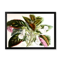 Designart 'Blossoming Vintage Flower V' Traditional Framed Art Print