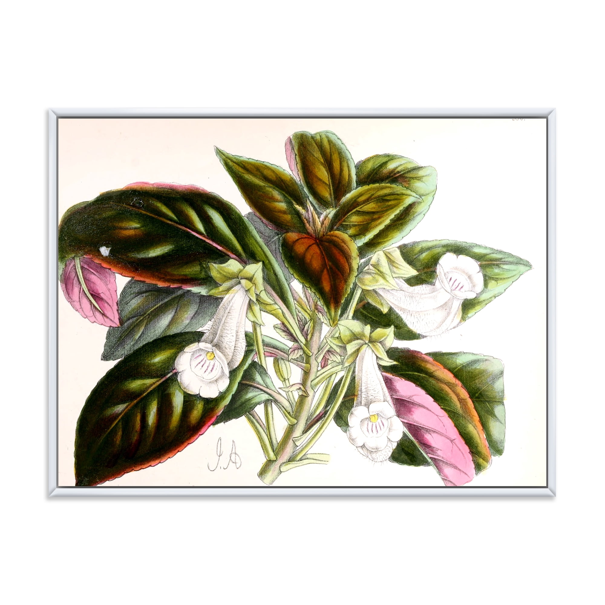 Designart 'Blossoming Vintage Flower V' Traditional Framed Canvas Wall Art Print