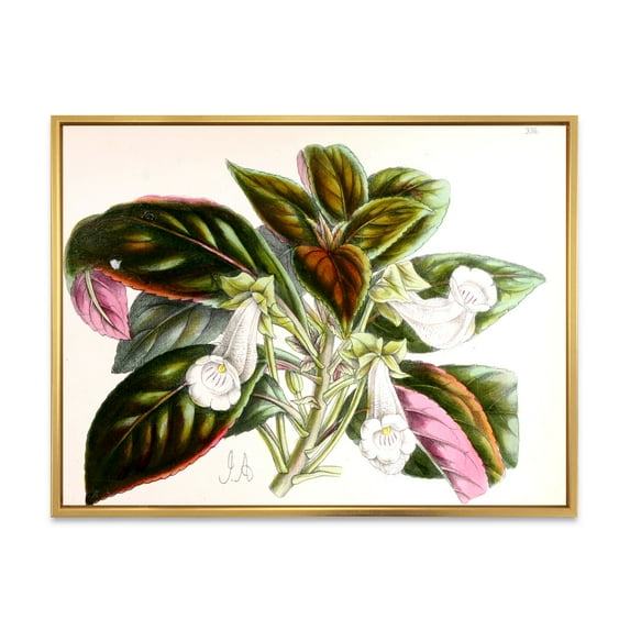 Designart 'Blossoming Vintage Flower V' Traditional Framed Canvas Wall Art Print