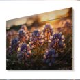 thumbnail image 1 of Designart "Blue Bonnets landscape Photo III" Floral Print on Natural Pine Wood, 1 of 5