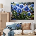 thumbnail image 1 of Designart "Blue Bonnets landscape Photo VI" Floral Canvas Print, 1 of 1