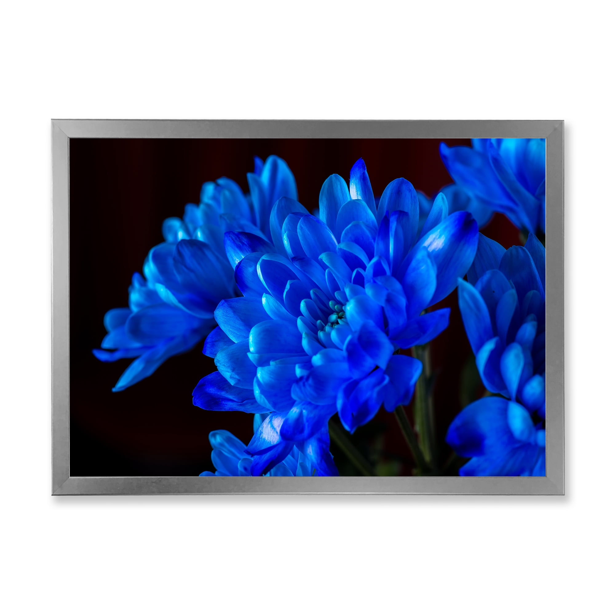 Designart 'Blue Chrysanthemum Flowers On Black Backround' Traditional Framed Art Print