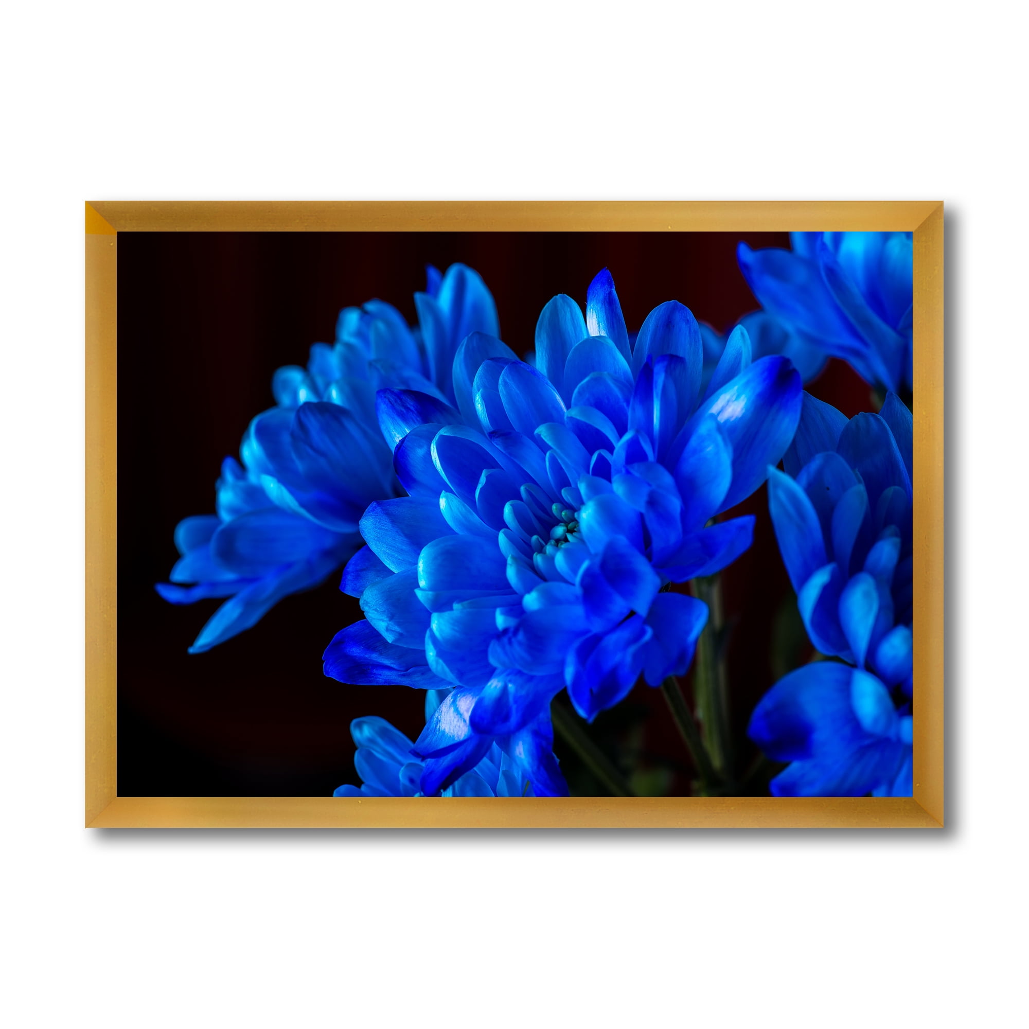 Designart 'Blue Chrysanthemum Flowers On Black Backround' Traditional Framed Art Print