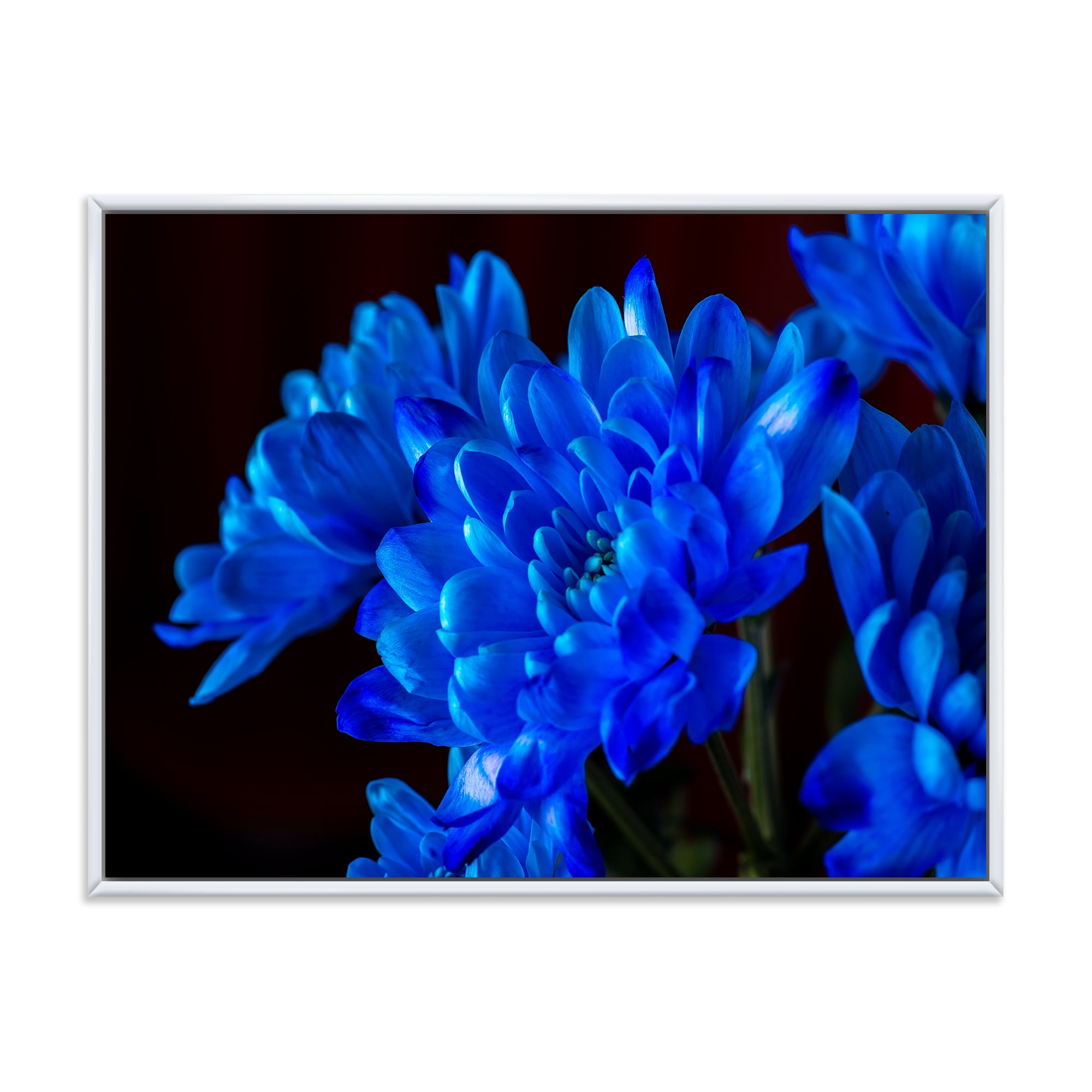 Designart 'Blue Chrysanthemum Flowers On Black Backround' Traditional Framed Canvas Wall Art Print