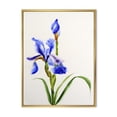 thumbnail image 1 of Designart 'Blue Iris Flower Retro Style' Traditional Framed Canvas Wall Art Print, 1 of 5