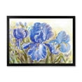 thumbnail image 1 of Designart 'Blue Irises Blossoming Flowers' Traditional Framed Art Print, 1 of 4