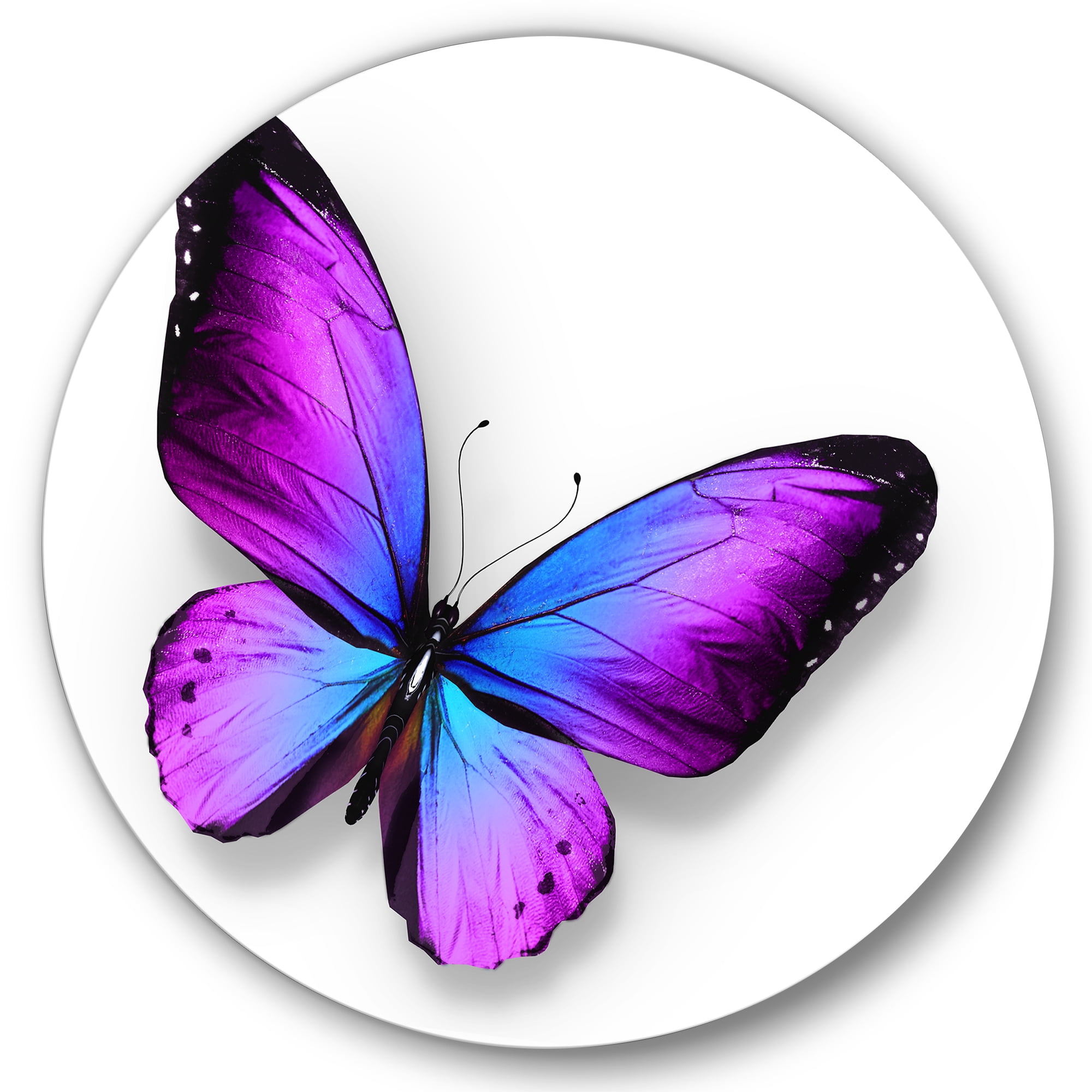 Designart 'Blue and Violet Butterfly' Modern Circle Metal Wall Art 36x36 - Disc of 36