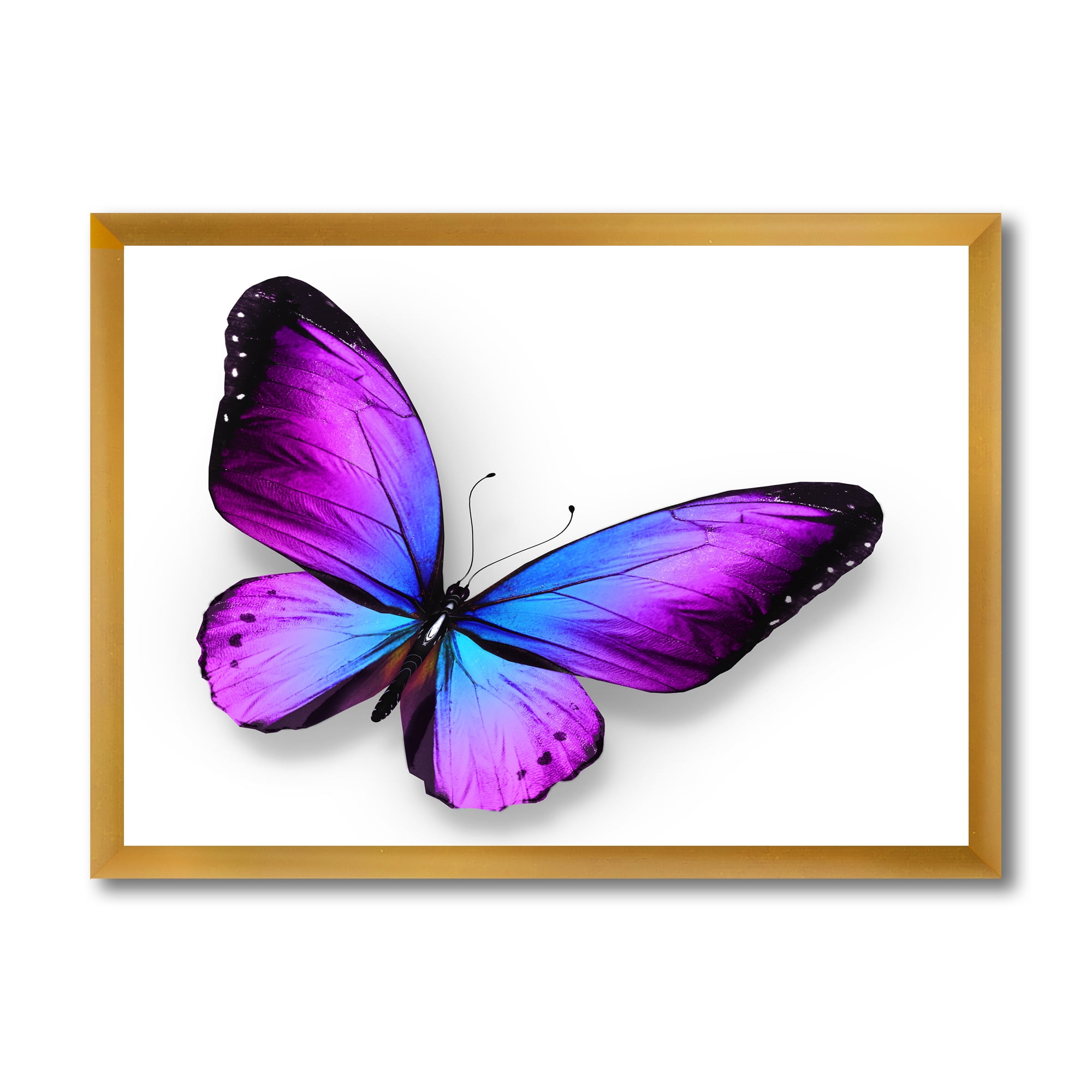 Designart 'Blue and Violet Butterfly' Modern Framed Art Print