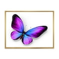 thumbnail image 1 of Designart 'Blue and Violet Butterfly' Modern Framed Canvas Wall Art Print, 1 of 5