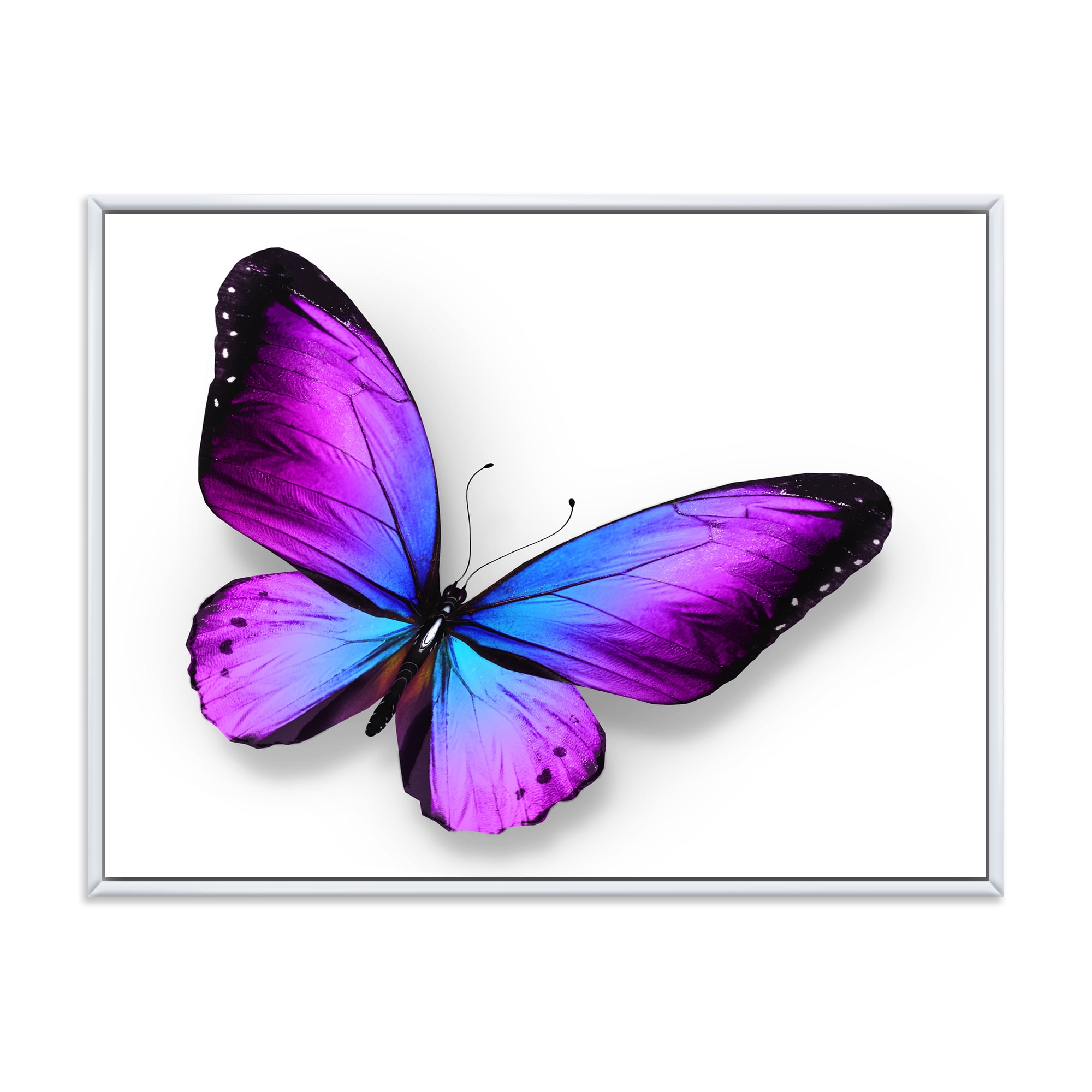 Designart 'Blue and Violet Butterfly' Modern Framed Canvas Wall Art Print