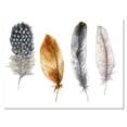 thumbnail image 1 of Designart ' Boho Feather In Blue and Orange Striped & Polka Dost ' Bohemian & Eclectic Canvas Wall Art Print, 1 of 4