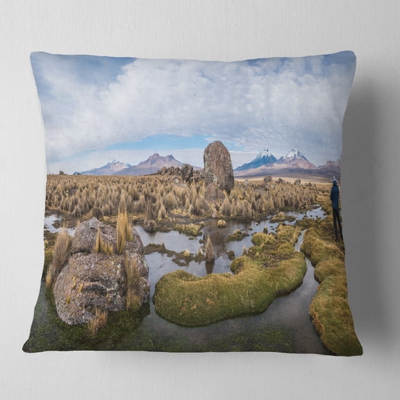 Designart Bolivia Volcanoes Panoramic View - Landscape Printed Throw Pillow - 16x16