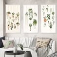 thumbnail image 1 of Designart "Botanical Bliss Joyful Hanging Houseplants I" Abstract Botanicals Framed Wall Art Set Of 3 - Green Modern Frame Canvas Set For Living Room Decor, 1 of 6