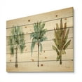 thumbnail image 1 of Designart 'Botanical Mixed Green Palms I' Farmhouse Print on Natural Pine Wood, 1 of 3