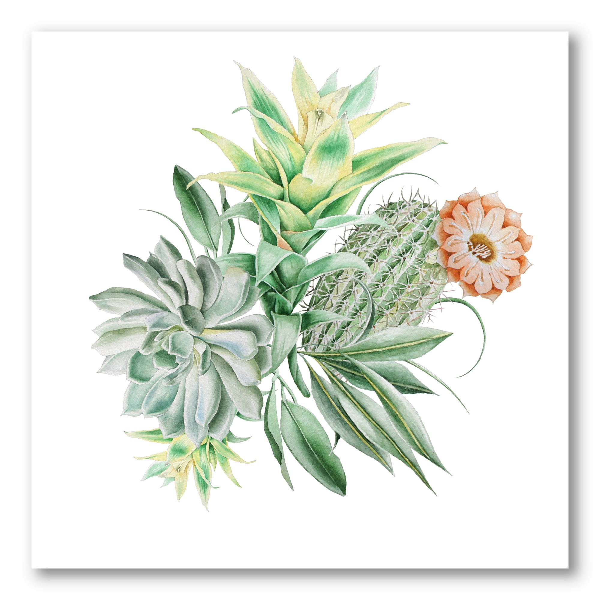 Designart ' Bouquet With Succulents and Cactus ' Traditional Canvas Wall Art Print