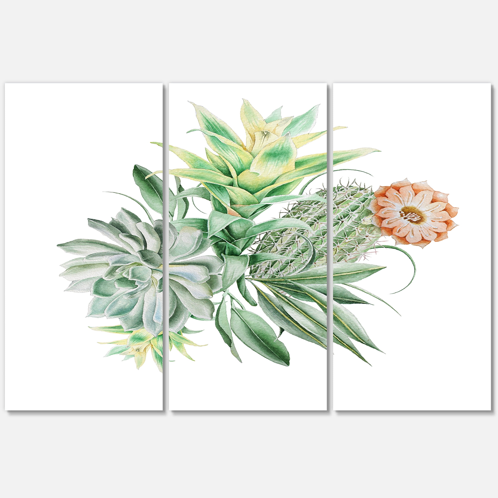 Designart ' Bouquet With Succulents and Cactus ' Traditional Canvas Wall Art Print