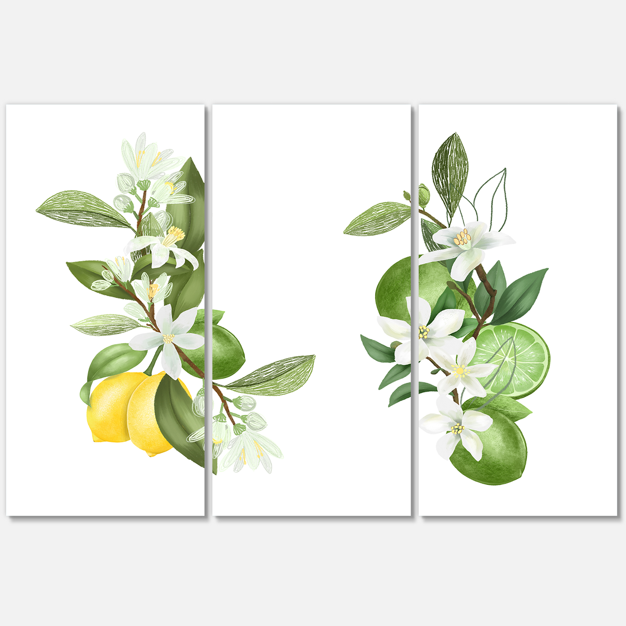 Designart ' Bouquets Of Blooming Lemon Tree Branches on White ' Traditional Canvas Wall Art Print