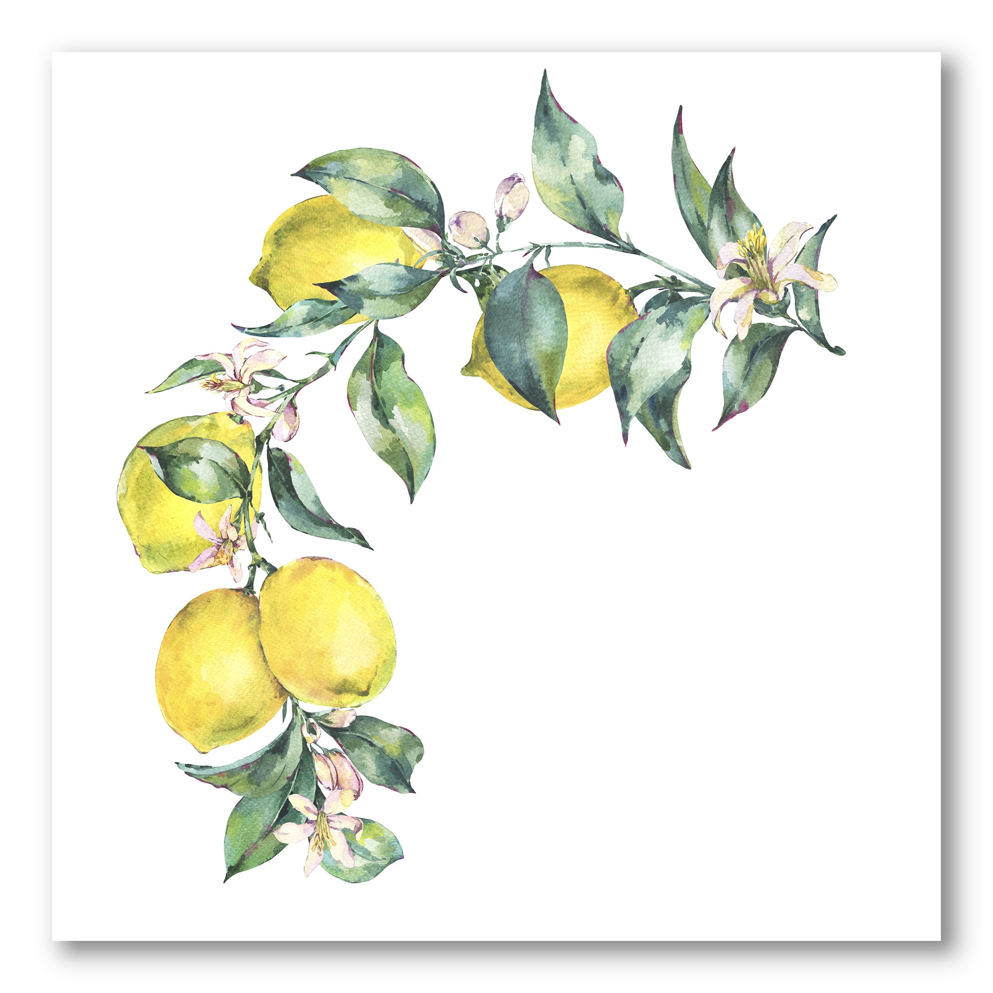 Designart ' Branch of Leaves and Yellow Lemons II ' Tropical Canvas Wall Art Print
