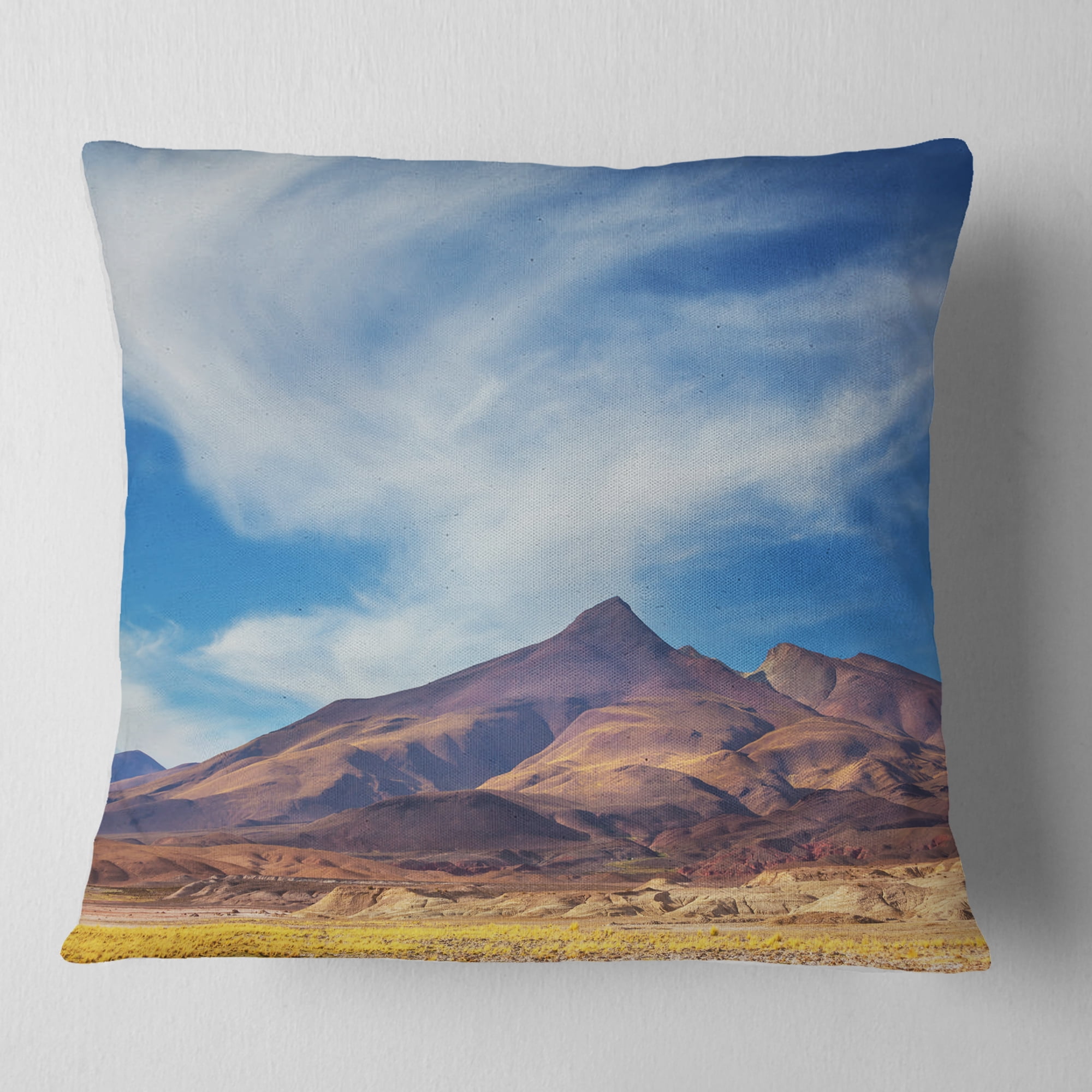 Designart Bright Argentina Mountain Region - African Landscape Printed Throw Pillow - 18x18