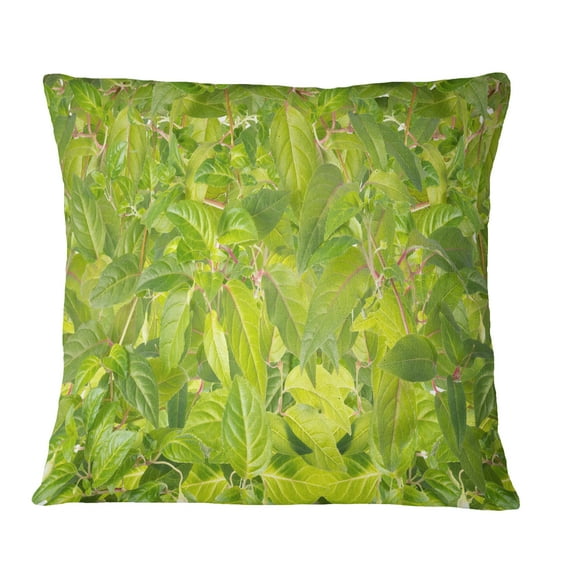 Designart Bright Fuchsia Green Foliage - Floral Throw Pillow - 16x16