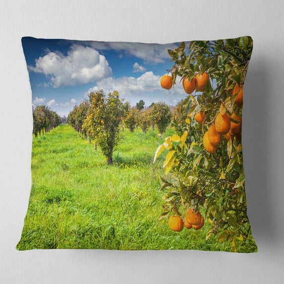 Designart Bright Green Grass in Orange Garden - Landscape Printed Throw Pillow - 16x16