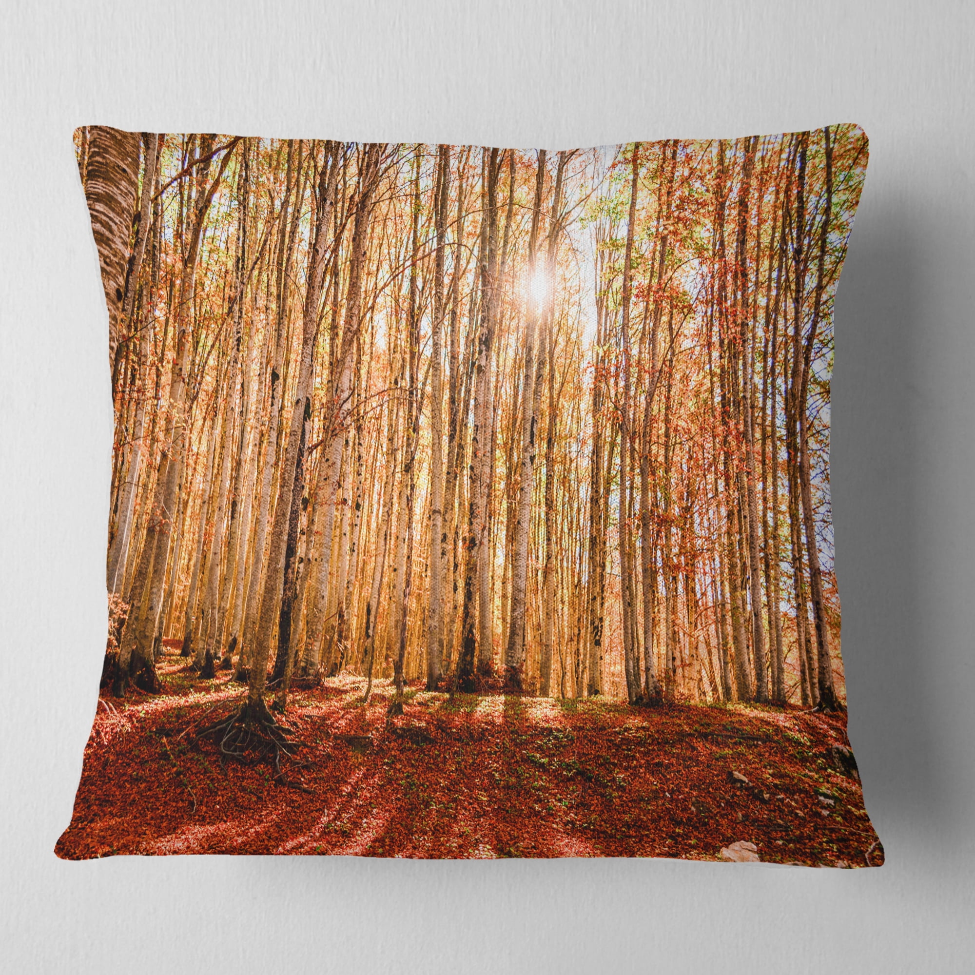 Designart Bright Sun over Thick Fall Forest - Modern Forest Throw Pillow - 16x16