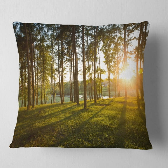 Designart Bright Sunlight in Dense Forest - Landscape Printed Throw Pillow - 16x16