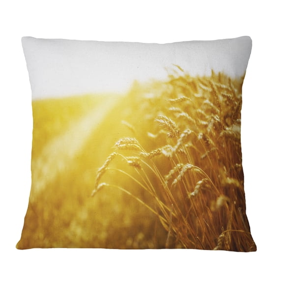 Designart Bright Sunset over Wheat Field - Landscape Printed Throw Pillow - 16x16