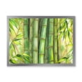 thumbnail image 1 of Designart 'Bright and Green Bamboo Stems' Transitional Framed Art Print, 1 of 4