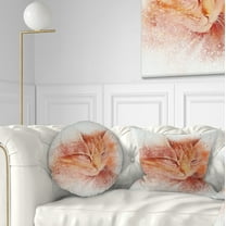 Designart Brown Cat Face Sketch on White - Animal Throw Pillow - 12x20