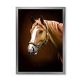 thumbnail image 1 of Designart 'Brown Horse With White Nose Portrait' Farmhouse Framed Art Print, 1 of 4